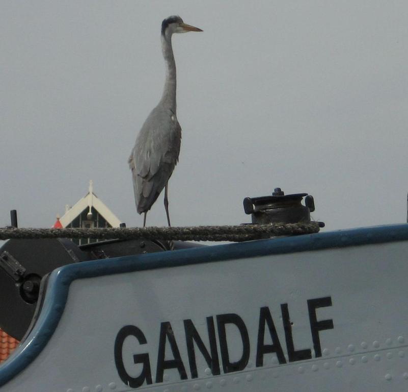 Hotelschip Gandalf أمستردام المظهر الخارجي الصورة